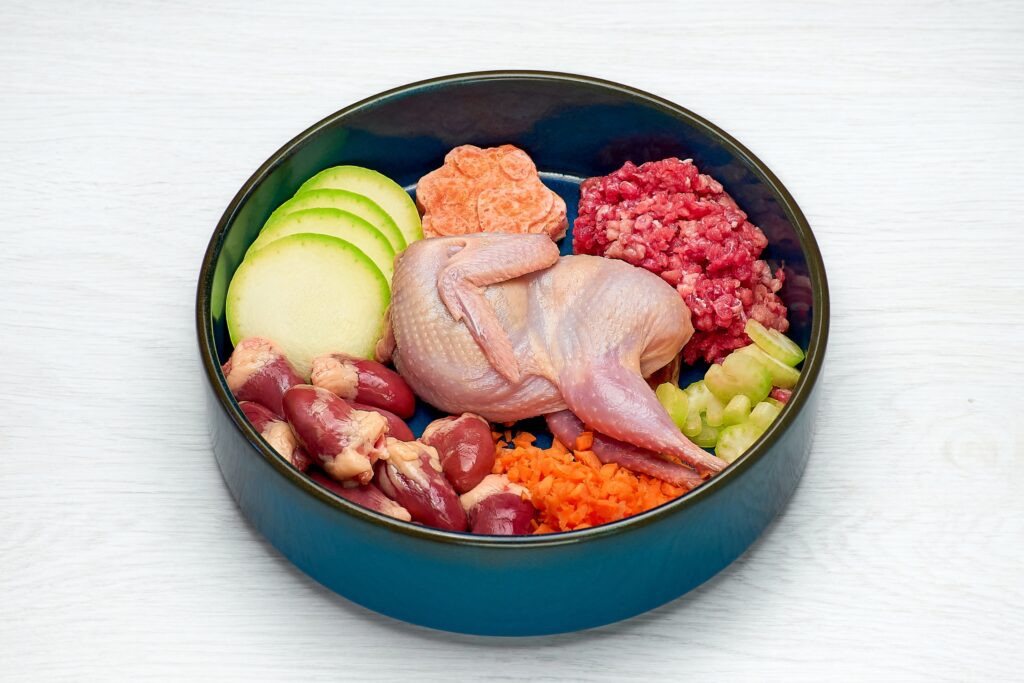 Why Fresh Dog Food Delivery Services Are Becoming the Preferred Choice for Modern Pet Owners